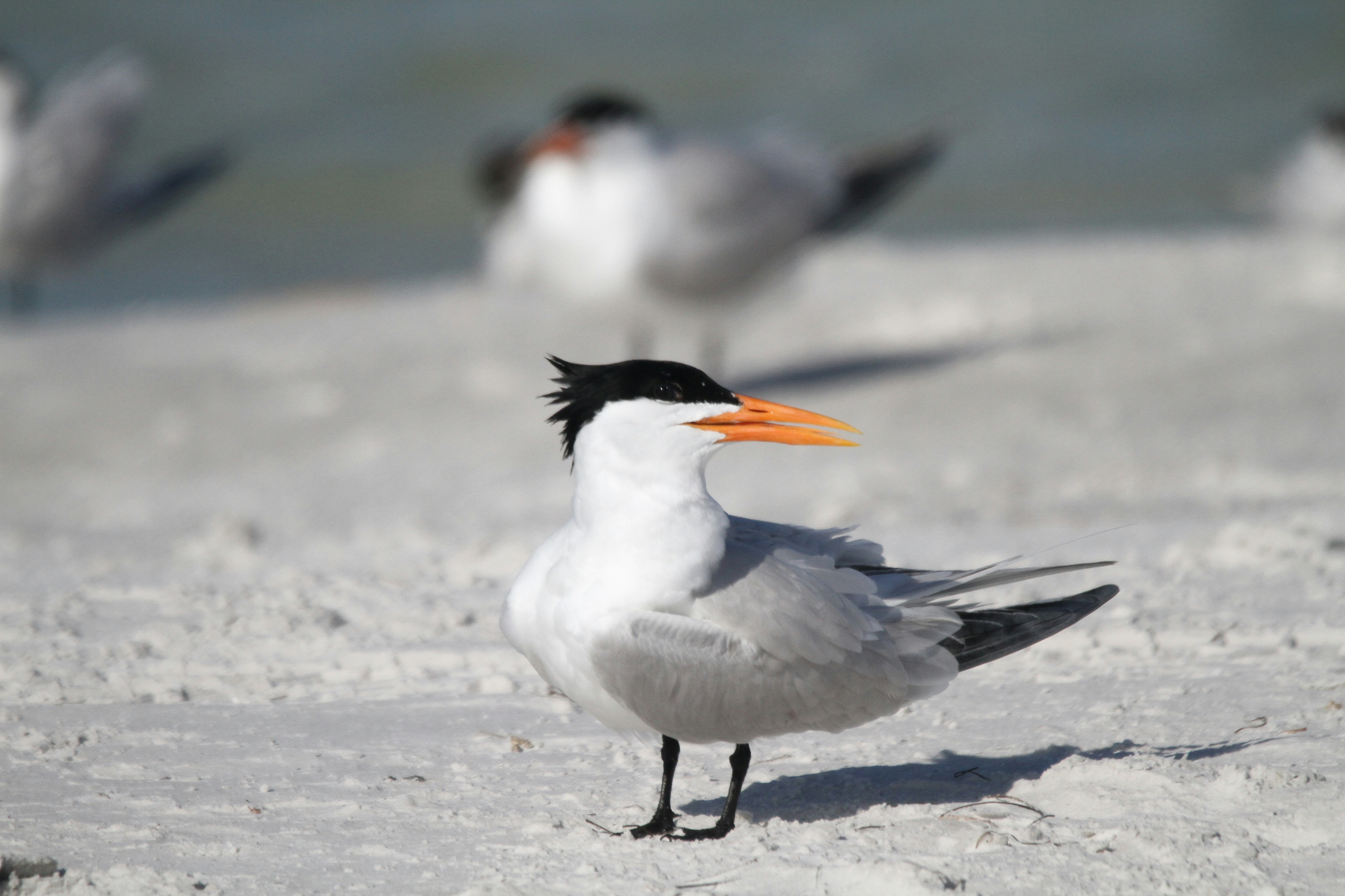 Photo by naturelensephotographer