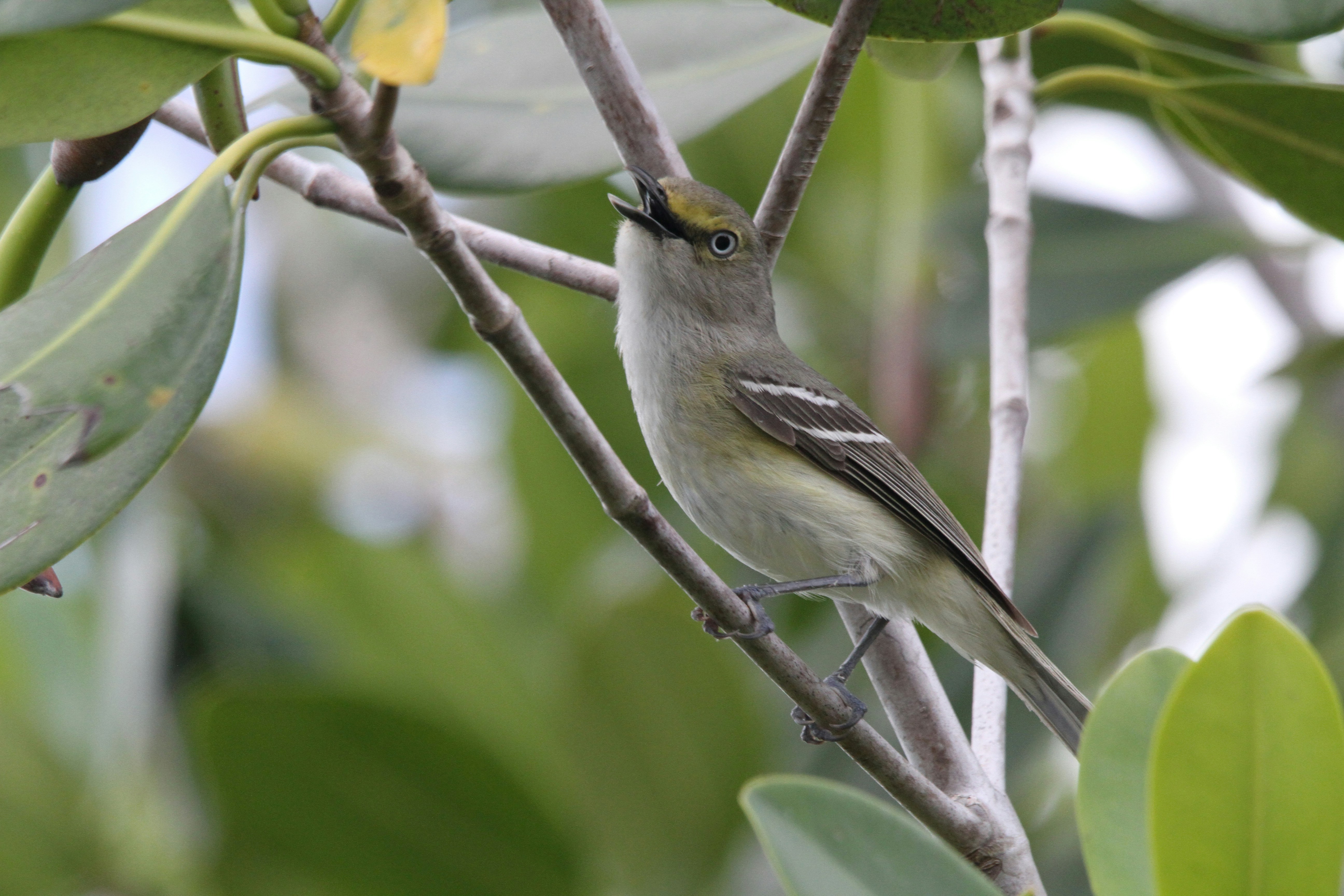 Photo by naturelensephotographer