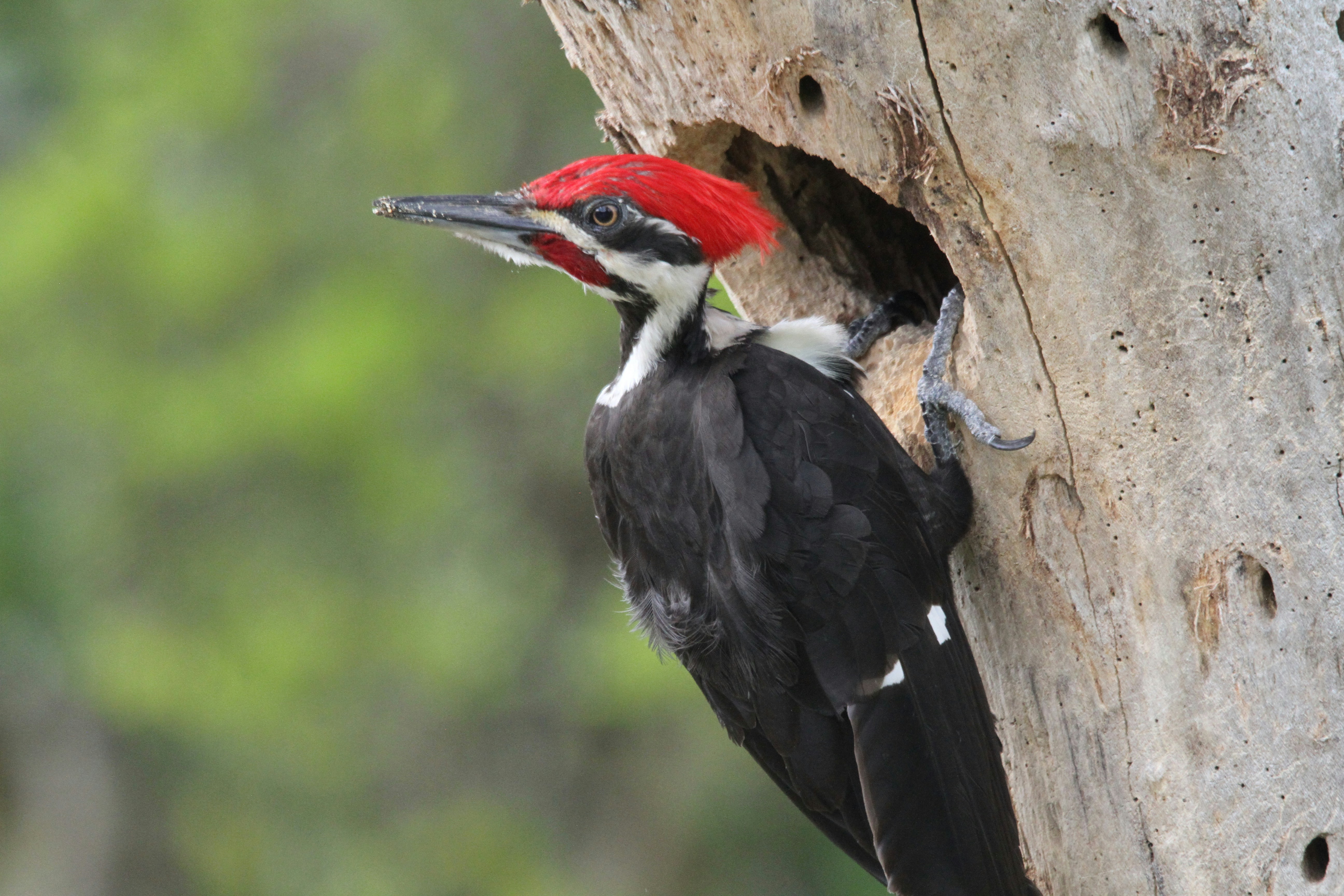 Photo by naturelensephotographer