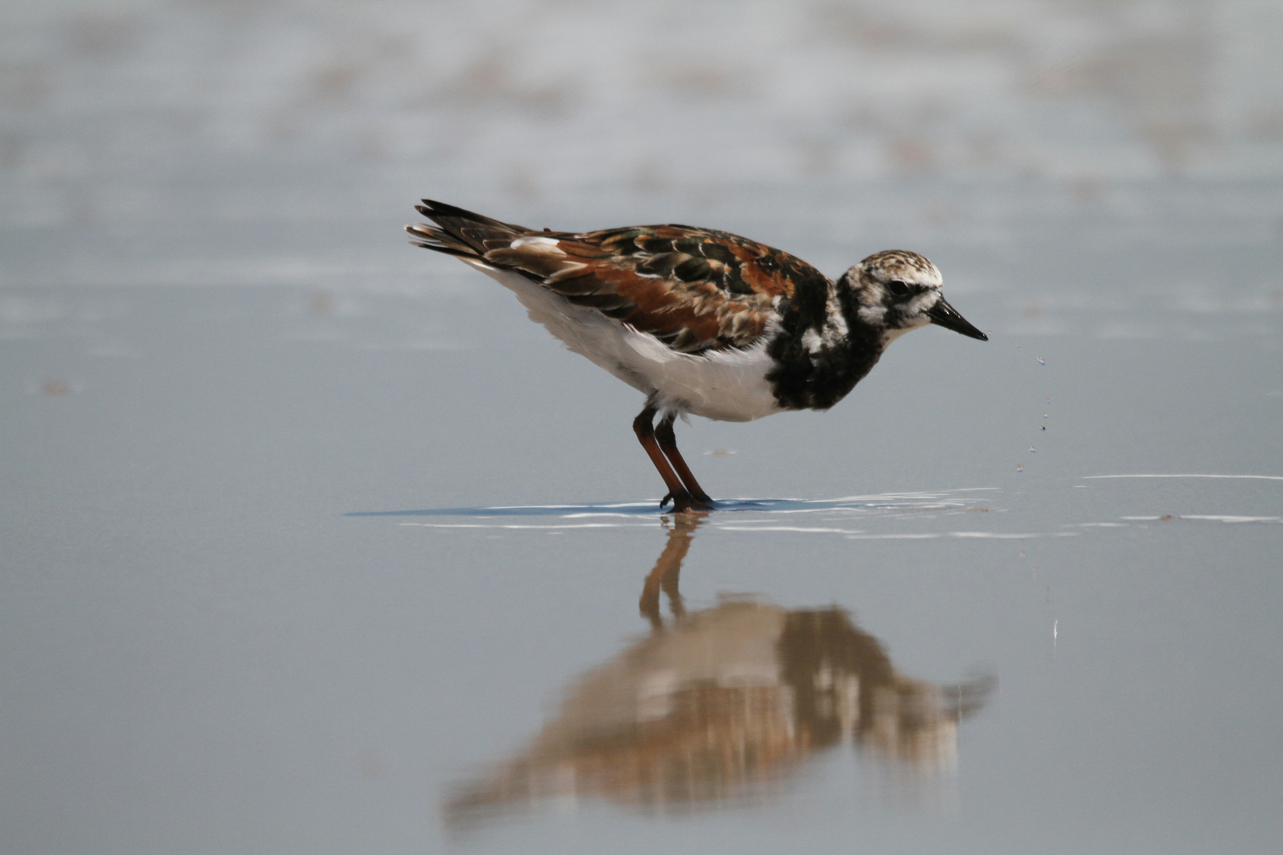 Photo by naturelensephotographer