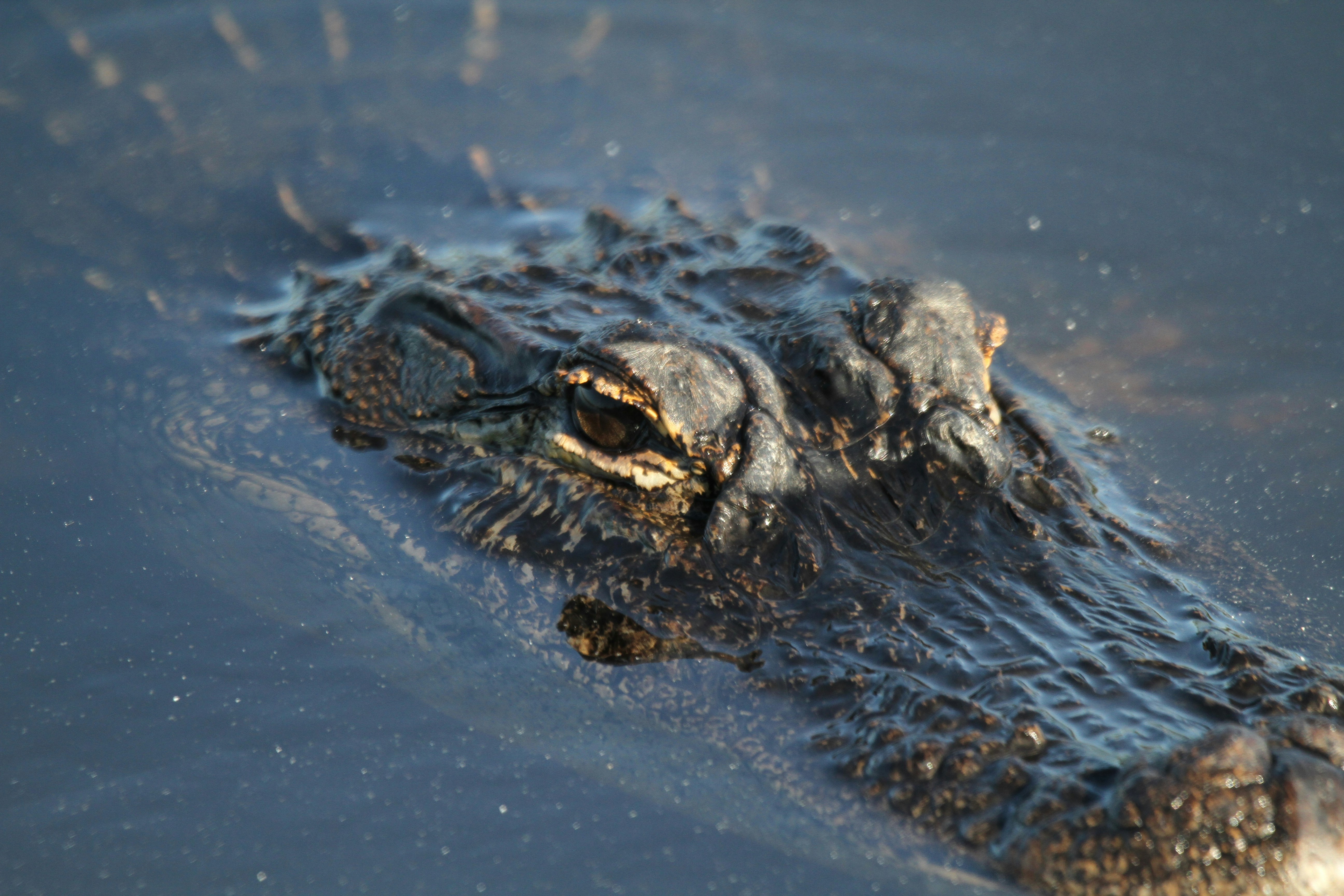 Photo by naturelensephotographer