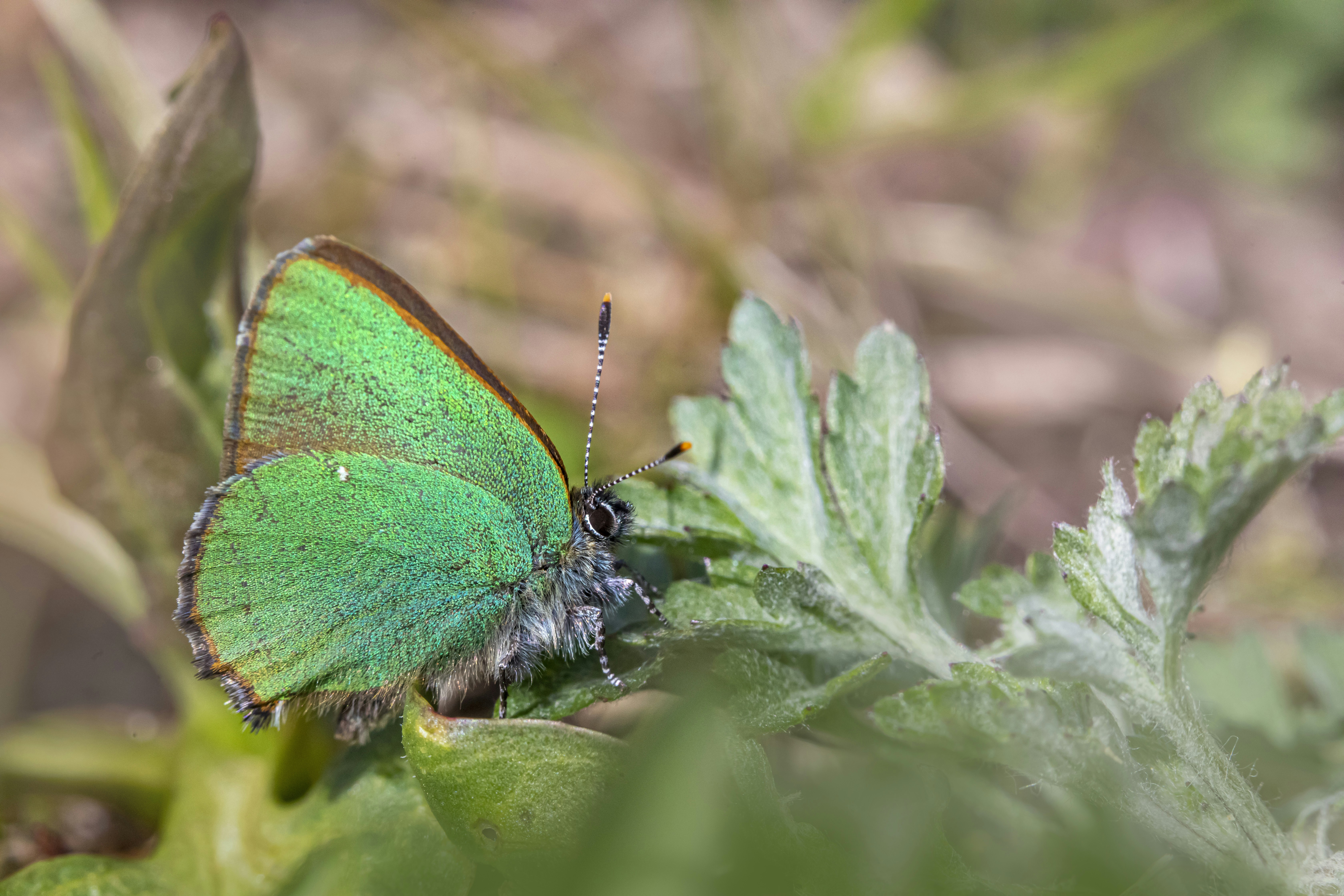 Photo by erik_karits