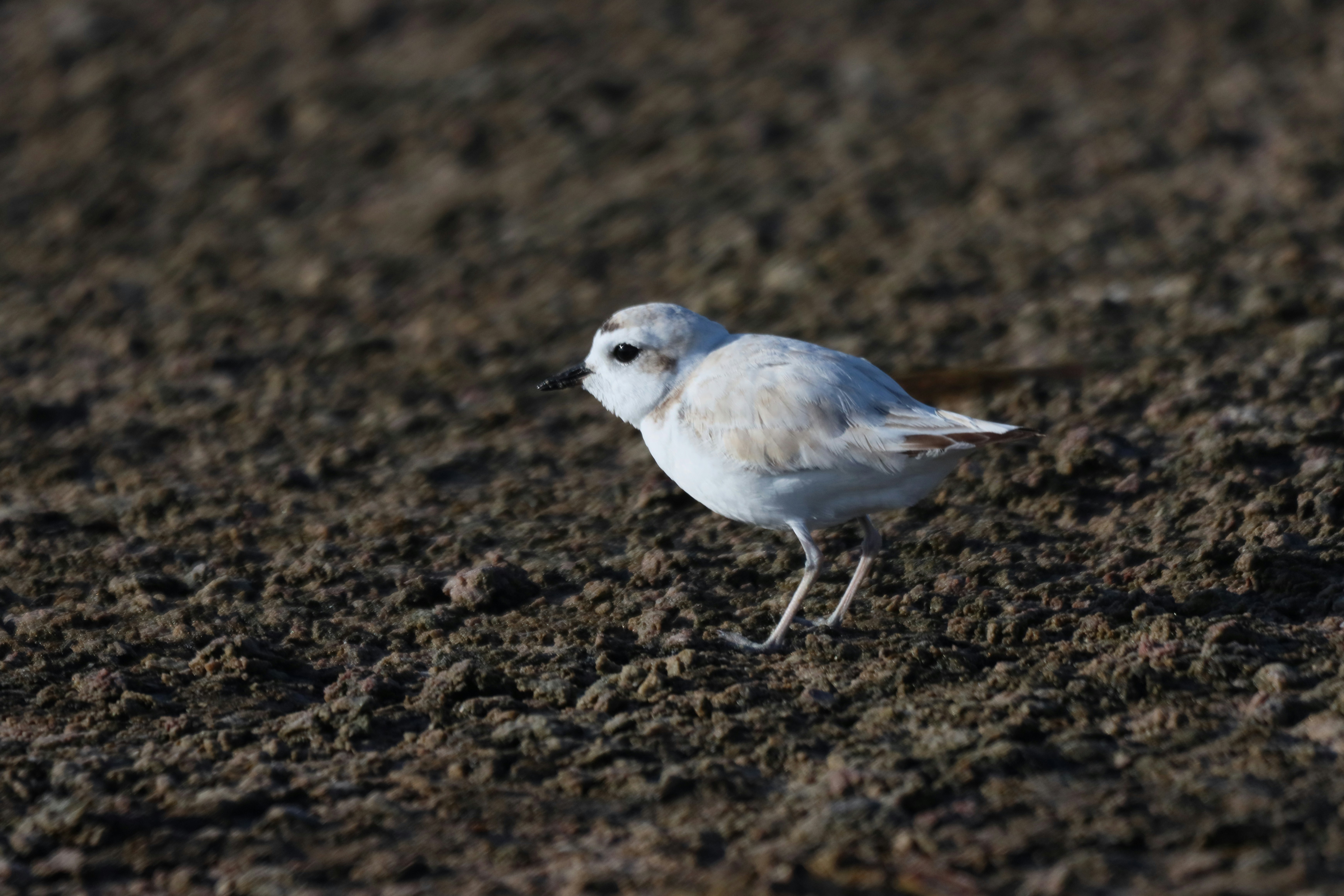 Photo by naturelensephotographer