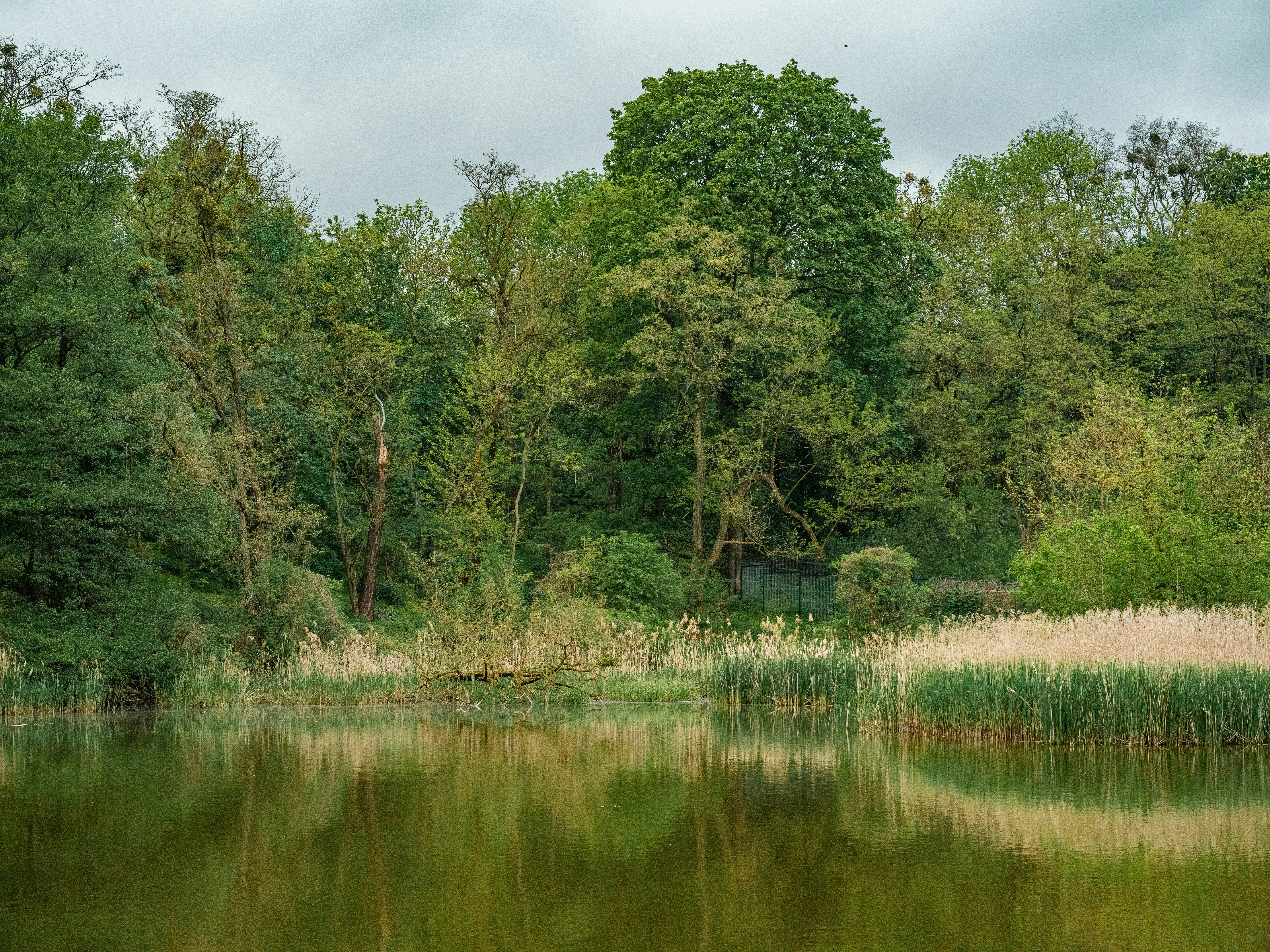 Photo by egorkomarov