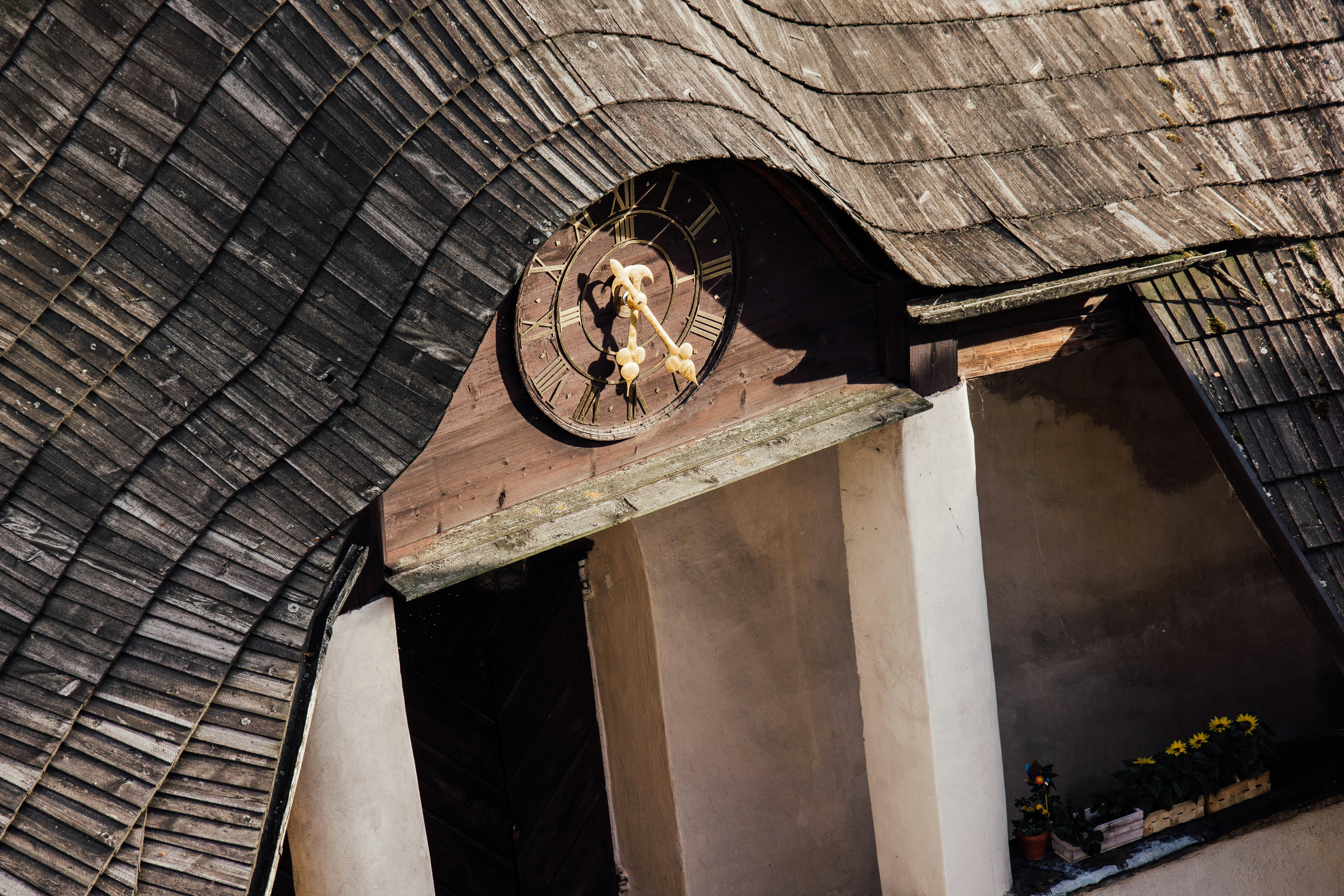 Photo by kamilpphotos