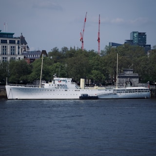 A large white ship is docked along a riverbank with lush green trees in the background. The skyline behind the trees includes several modern and older style buildings, and two red cranes are visible towering above the treetops. The water in the foreground is calm and dark, reflecting the overcast sky.