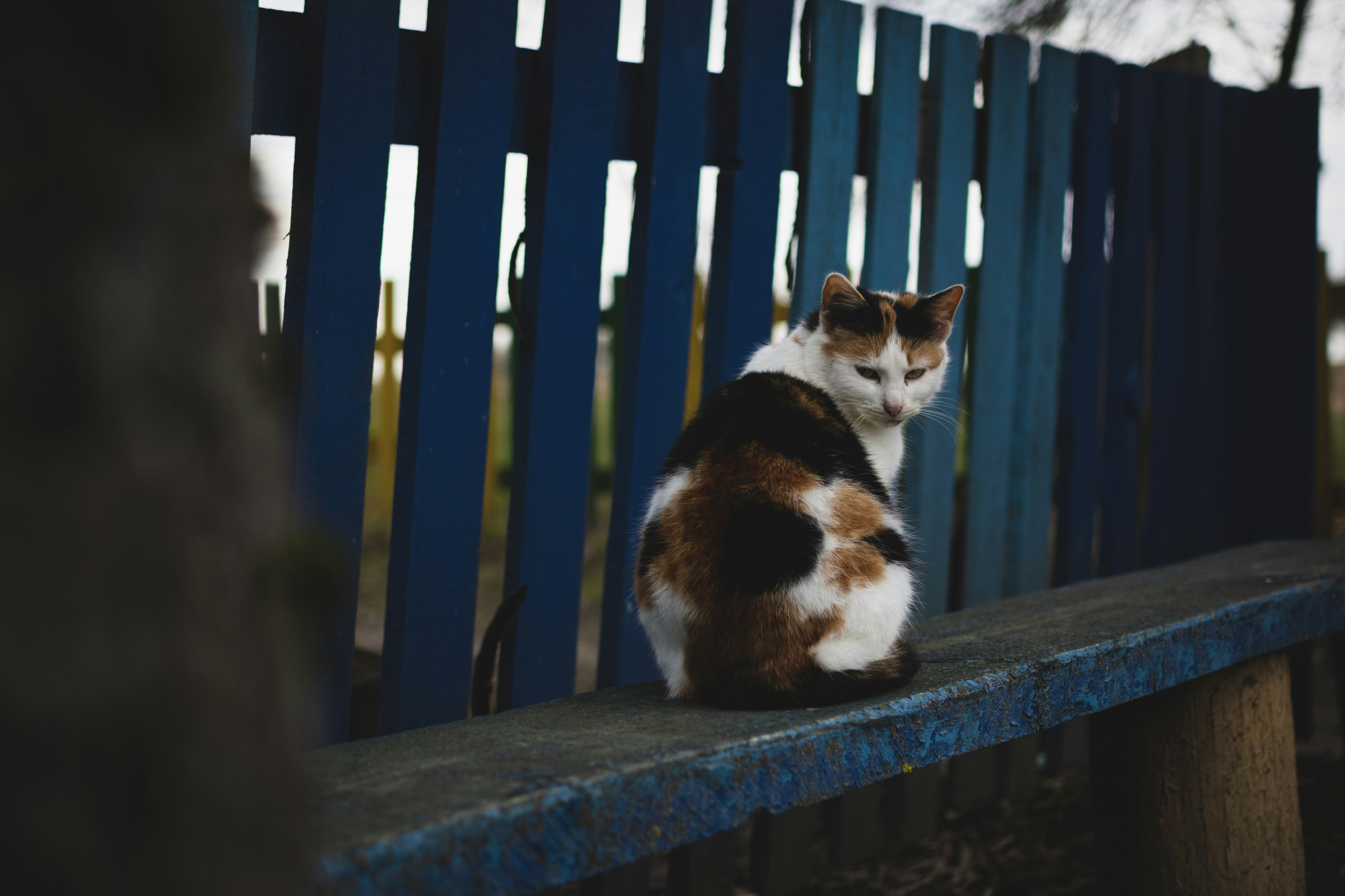 Photo by eadutskevich