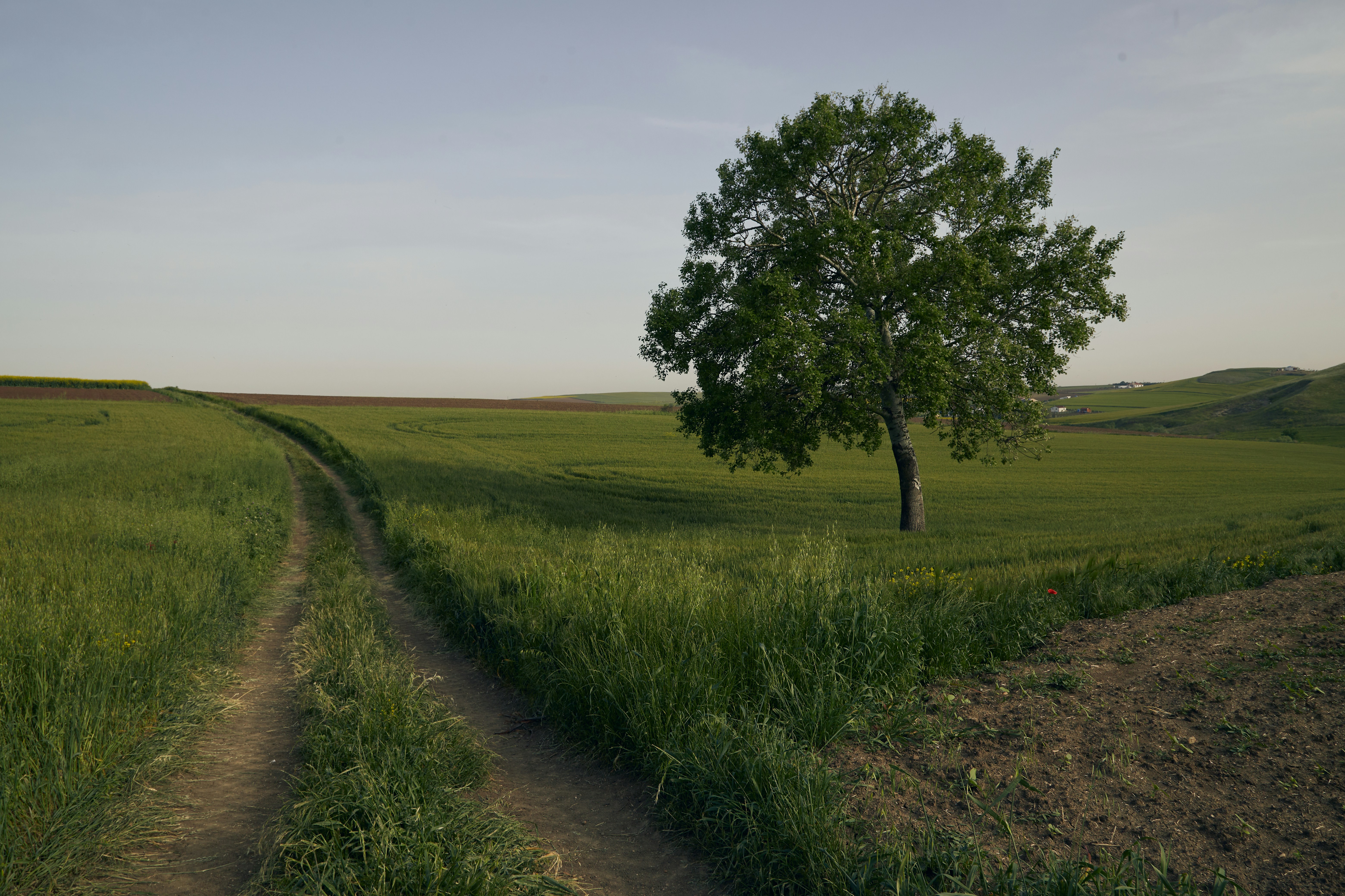 Photo by tunagraphy