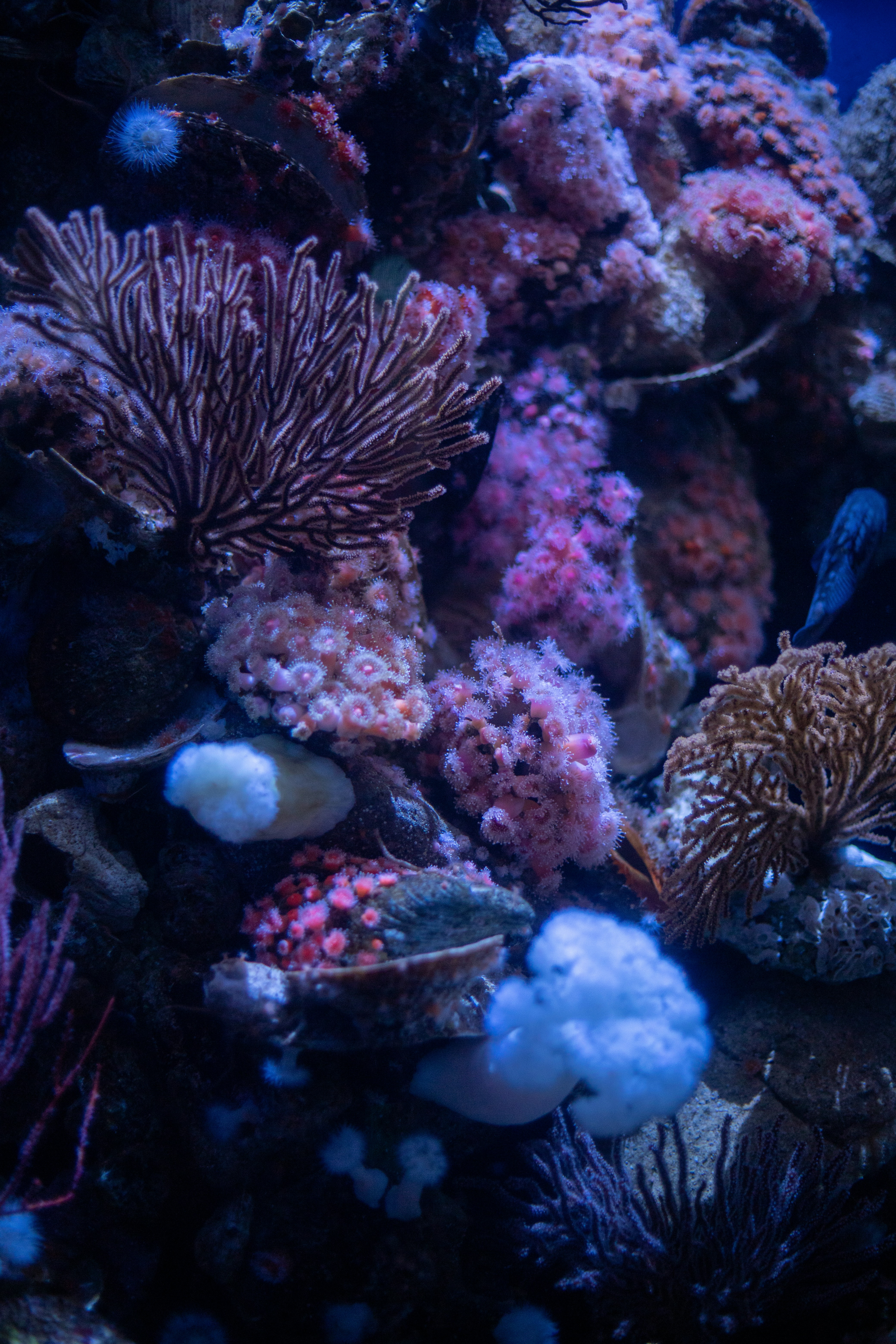 Photo by callie_sophiaa