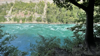 A river flowing through a restored mining area with green vegetation.