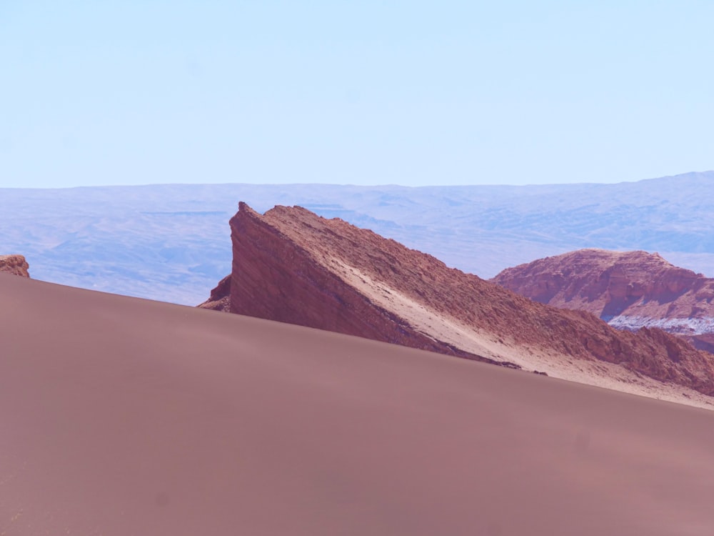 a group of animals standing on top of a sandy hill