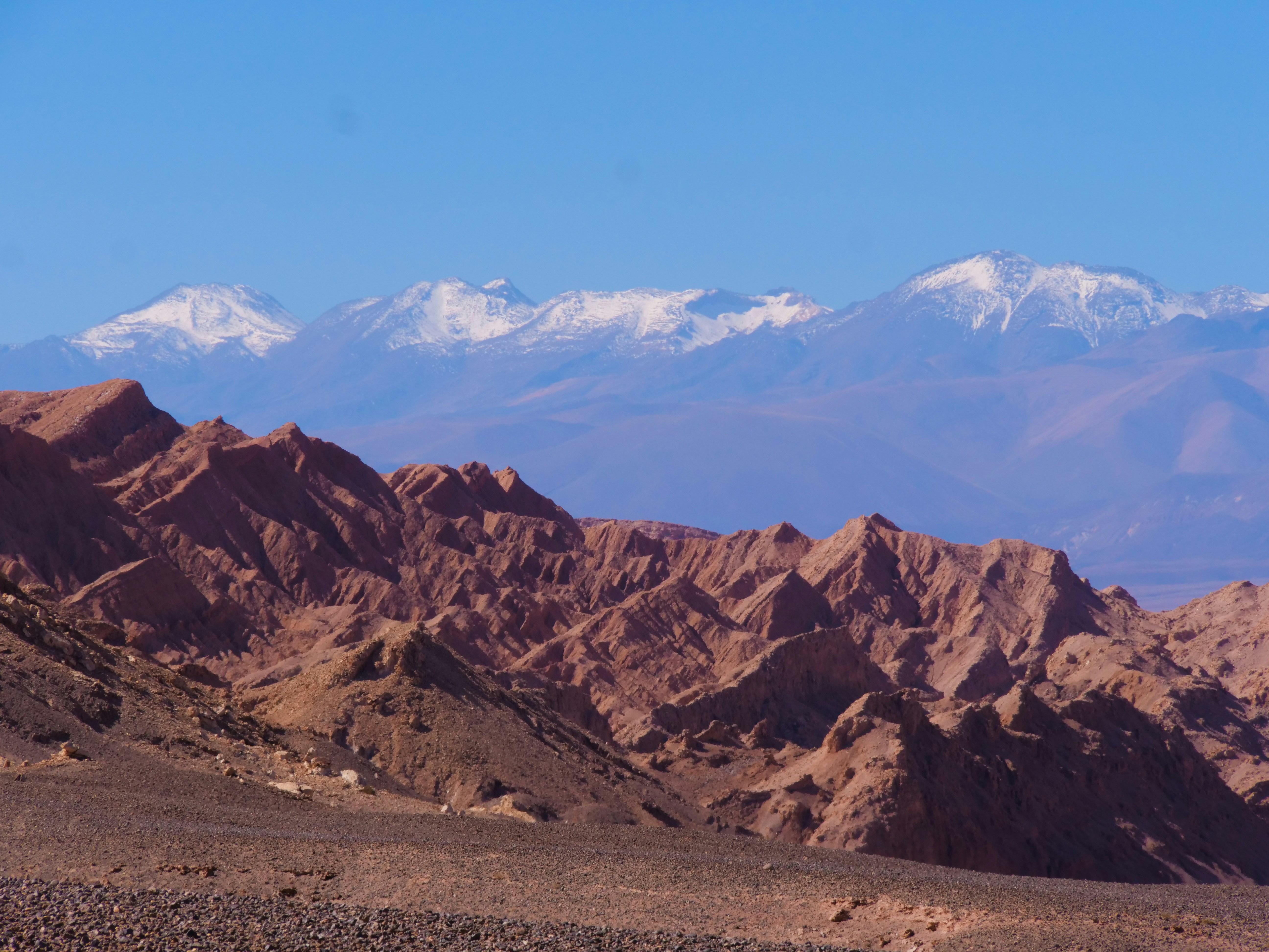 Photo by florian_delee