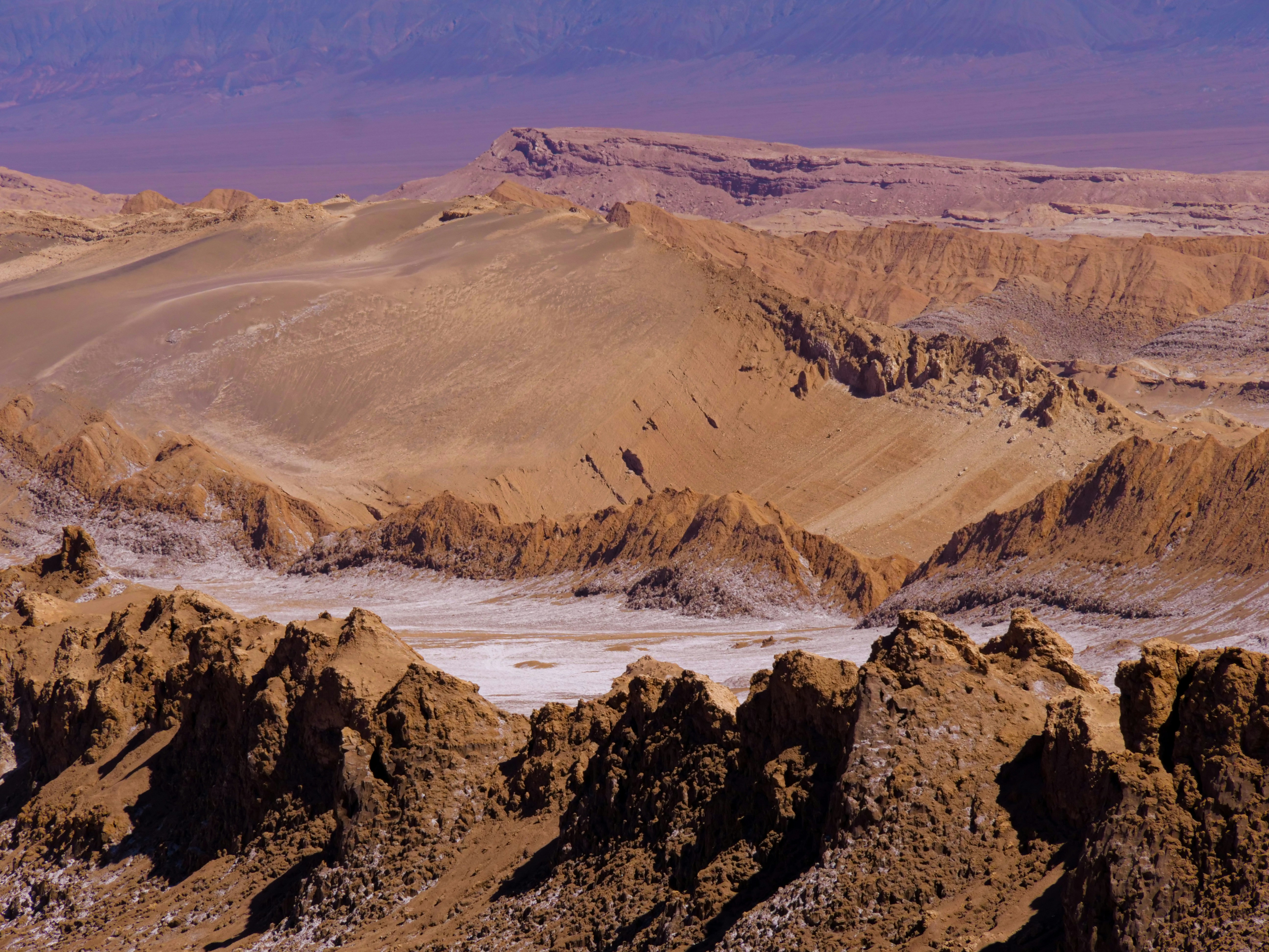 Photo by florian_delee