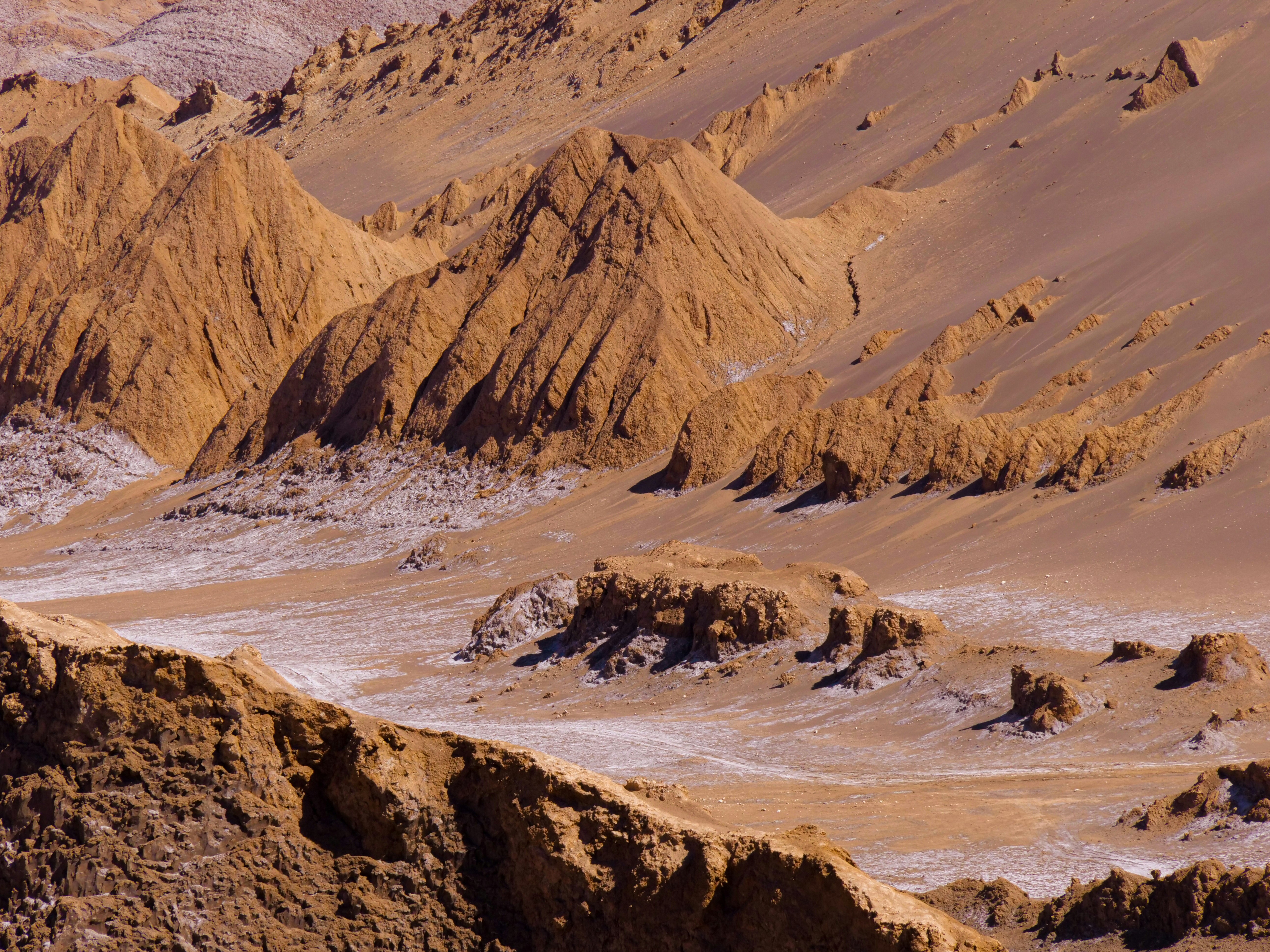 Photo by florian_delee