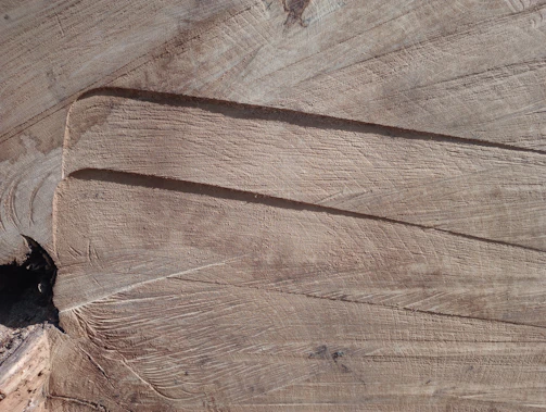 Close-up of a handcrafted coffee wood dog chew showing natural wood grain texture.