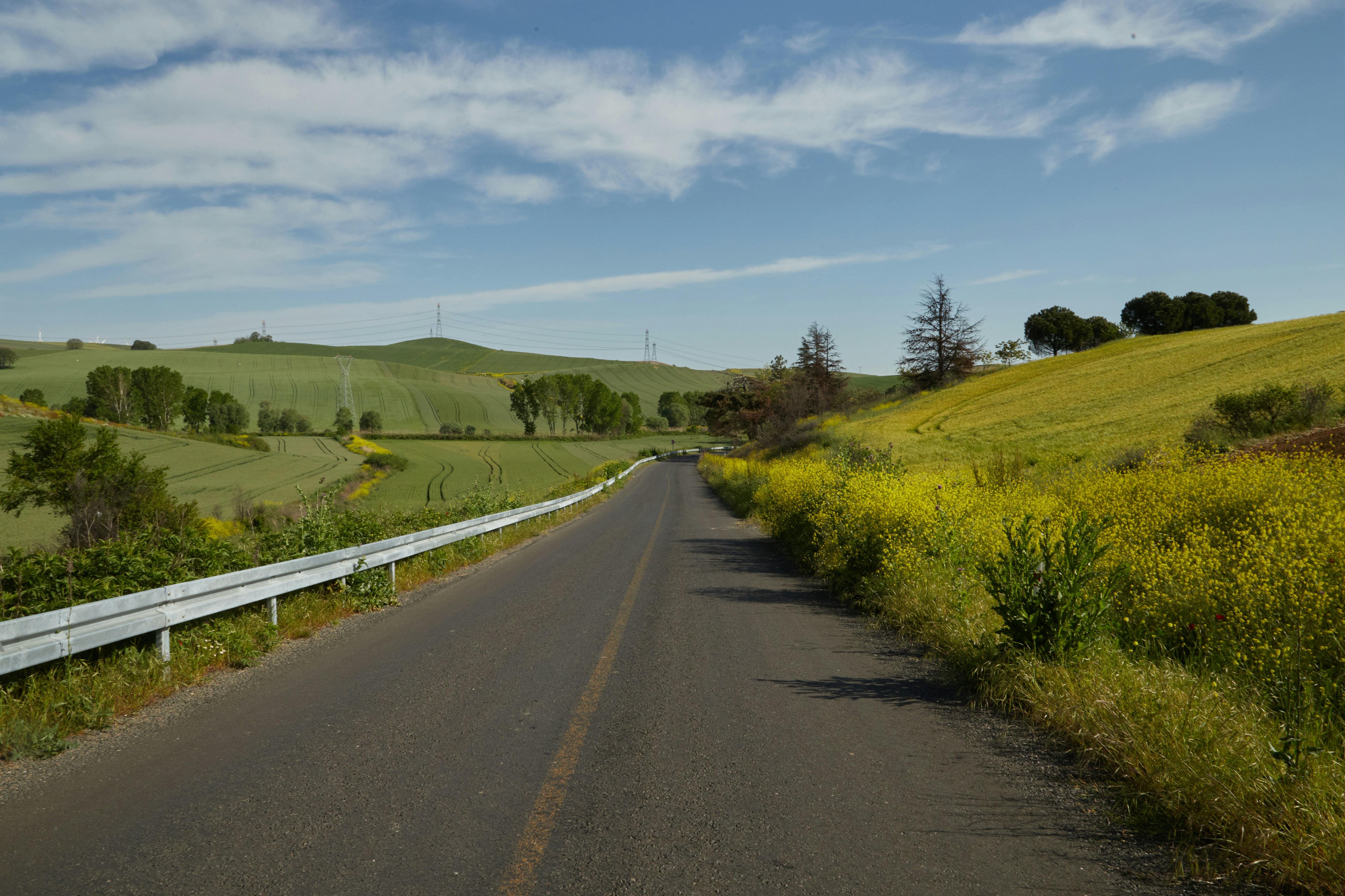 a road with a white fence on the side of it