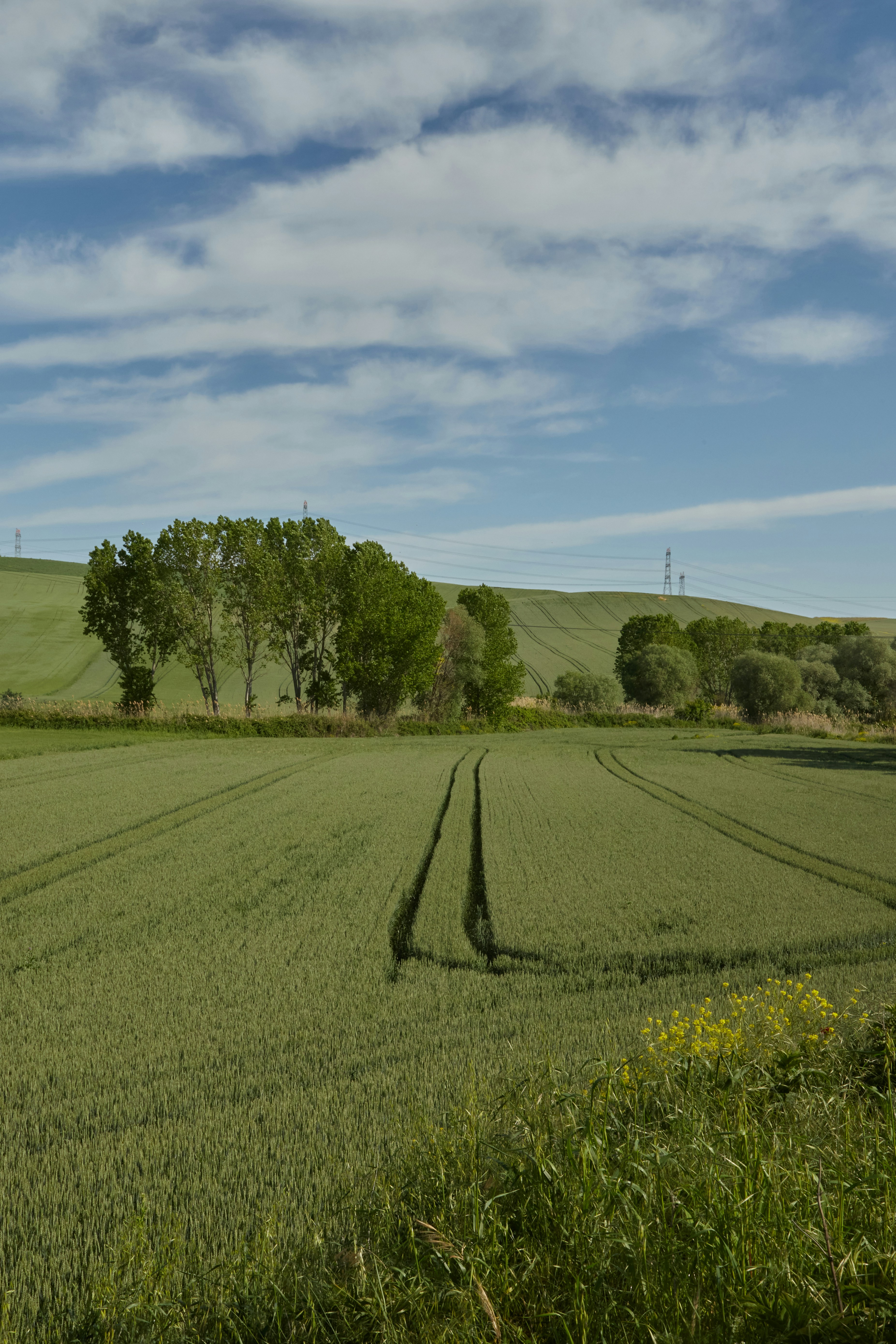Terres agricoles, enjeu sécuritaire (LV 269)