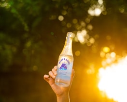 A hand is holding a clear glass bottle of sparkling water with a label visible against a backdrop of blurred, golden bokeh created by sunlight filtering through leaves.
