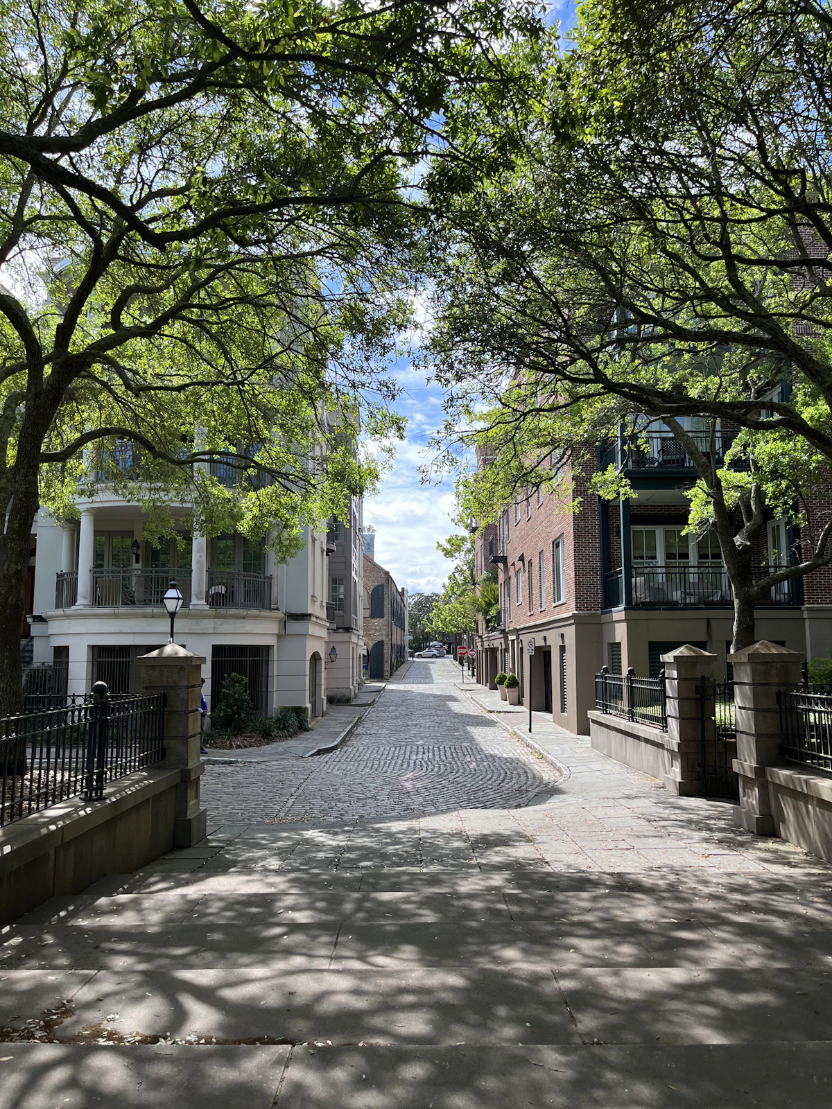 Cobblestone street lined with trees and historic Charleston buildings