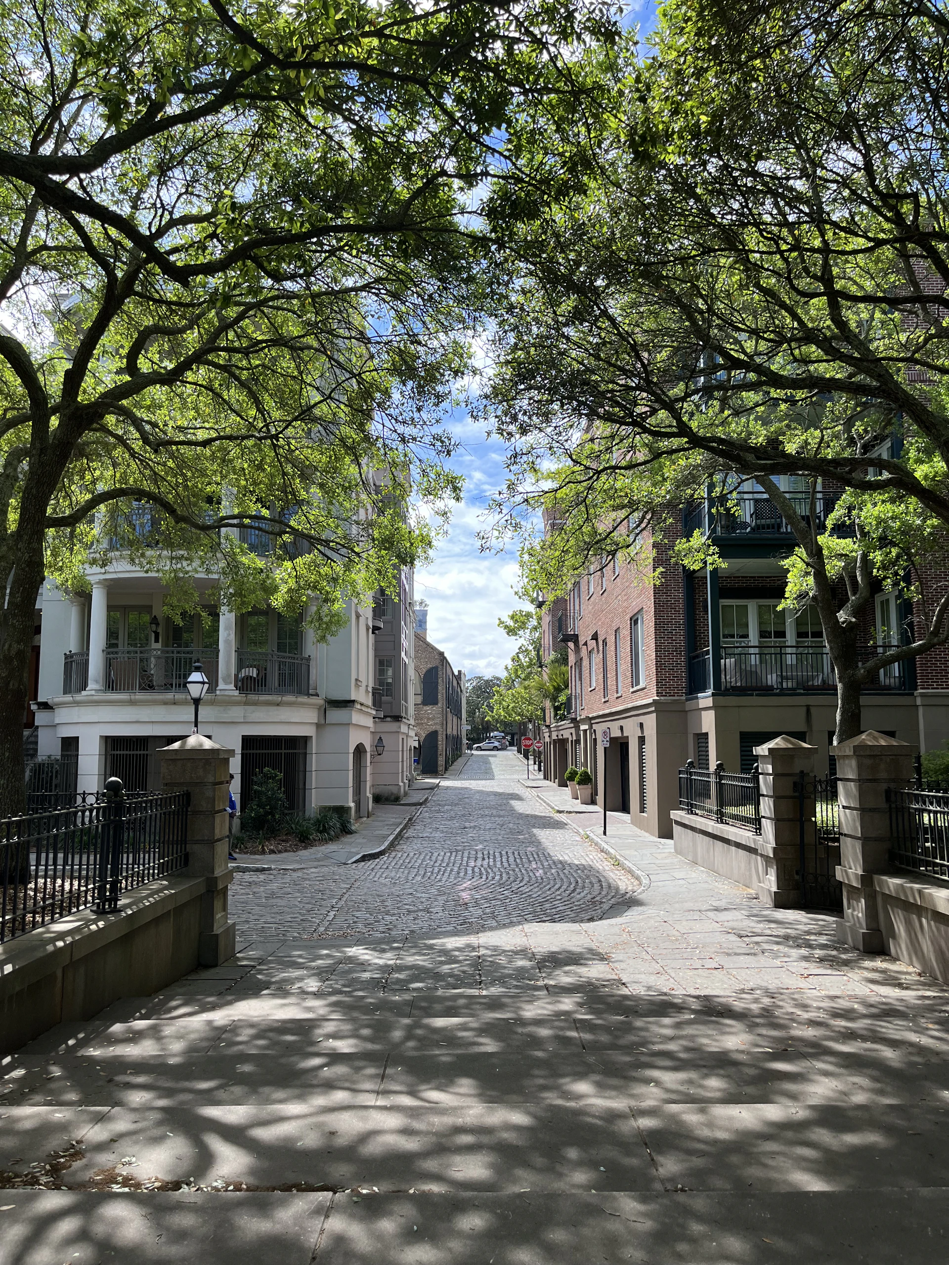 Charleston tree-lined street with historic buildings