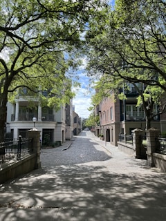 A cobblestone street lined with historic buildings and lush green trees creates a picturesque urban scene. Sunlight filters through the branches, casting dappled shadows on the pathway. The architecture features brick facades and iron railings, adding to the charming, peaceful atmosphere.