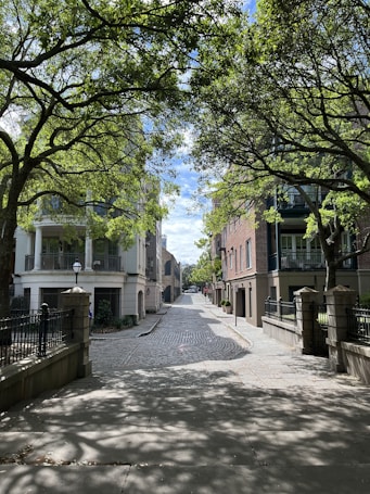 A cobblestone street lined with historic buildings and lush green trees creates a picturesque urban scene. Sunlight filters through the branches, casting dappled shadows on the pathway. The architecture features brick facades and iron railings, adding to the charming, peaceful atmosphere.