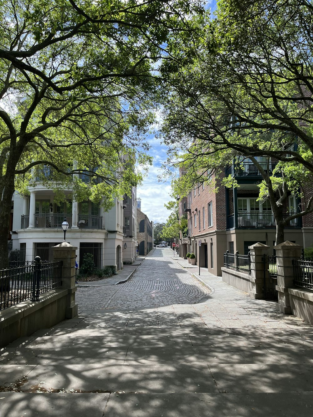 a street lined with trees and buildings under a blue sky