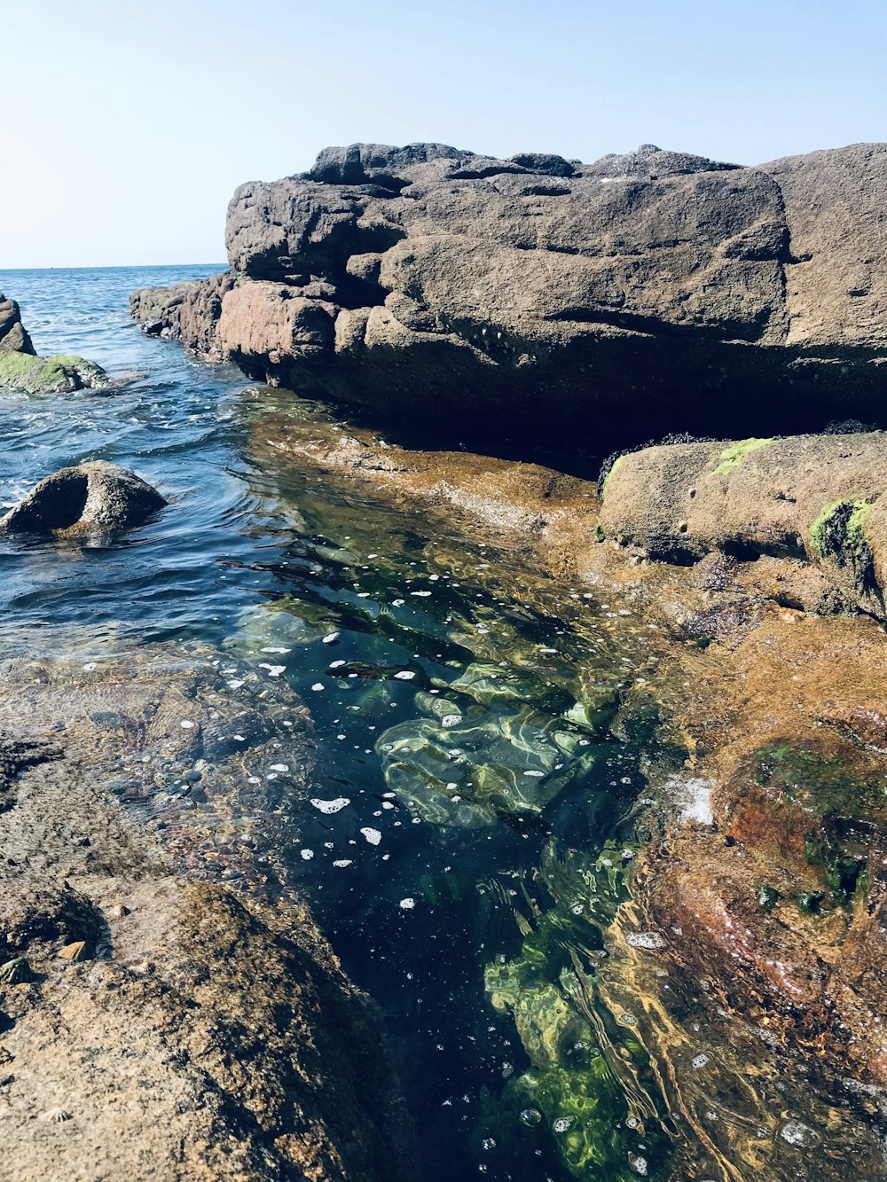 a body of water surrounded by rocks and seaweed
