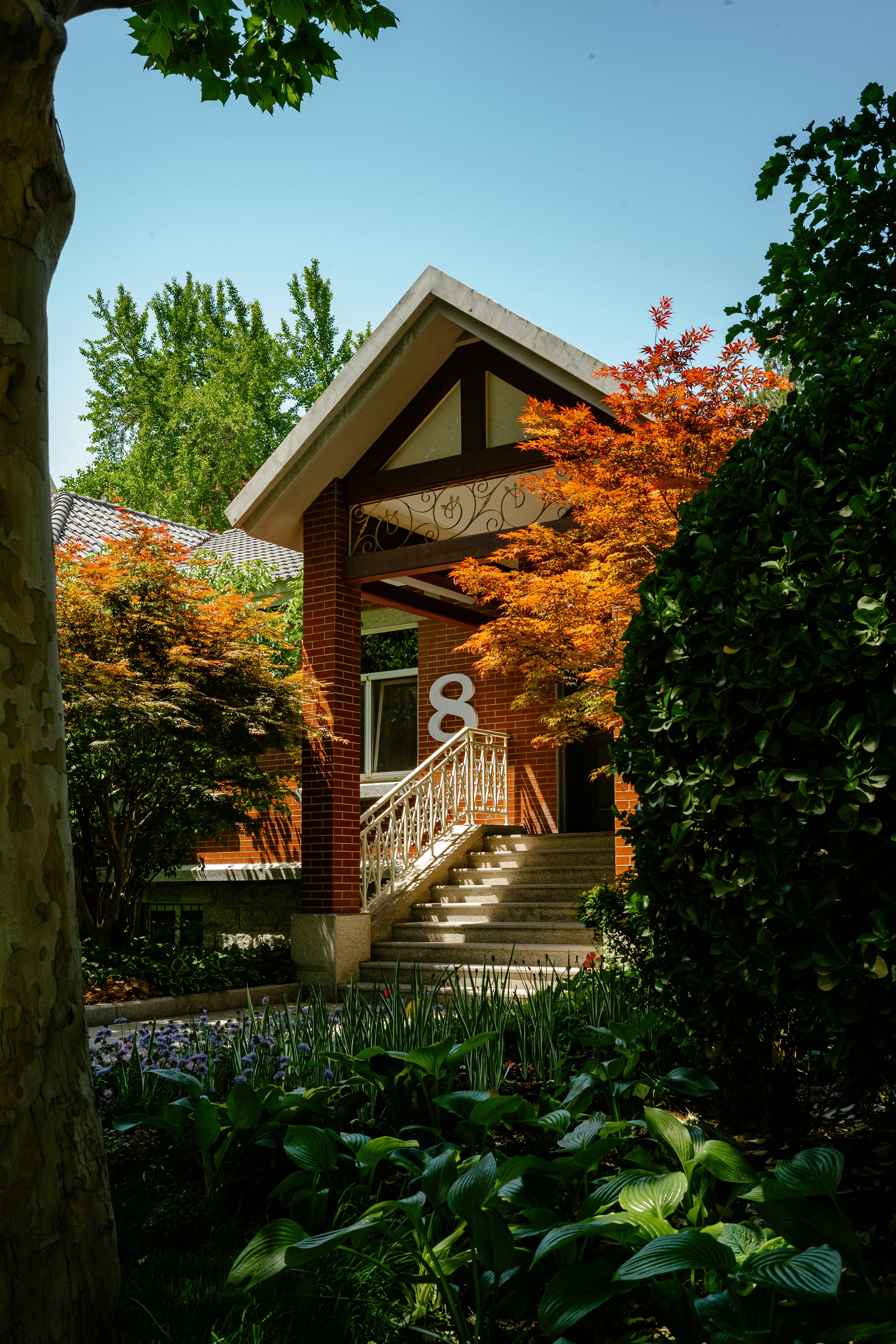 Photo by tommaomaoer