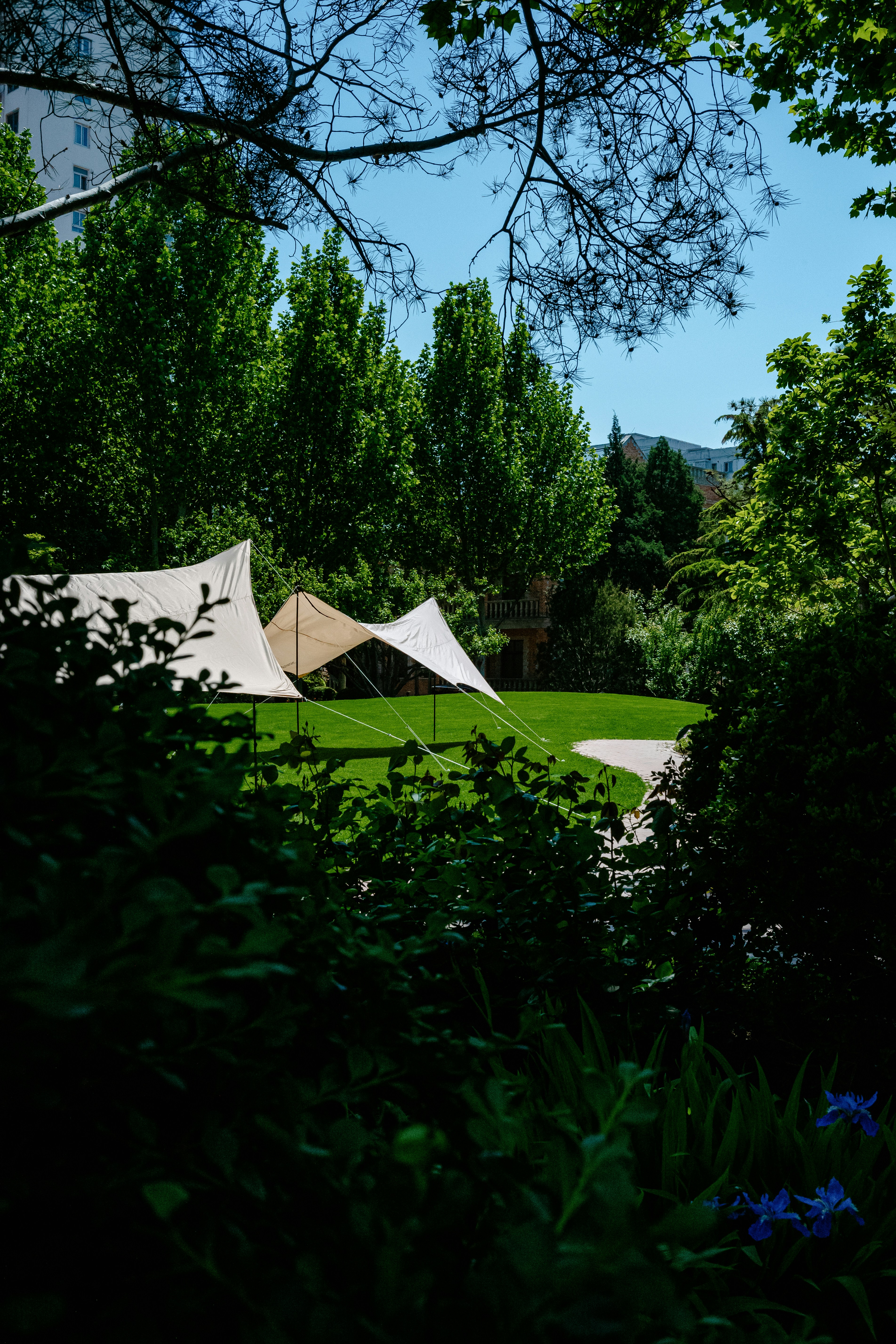 Photo by tommaomaoer