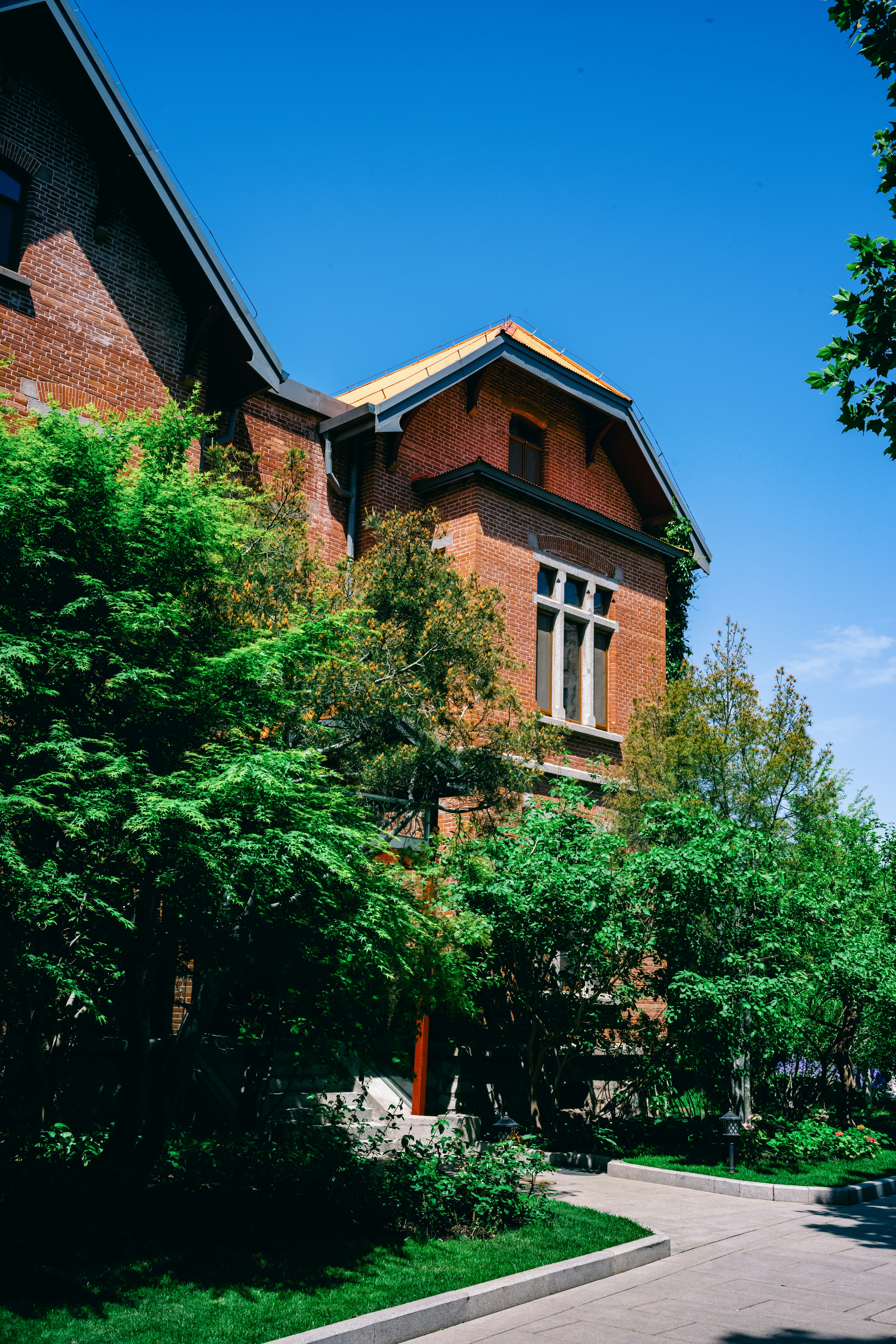 Photo by tommaomaoer