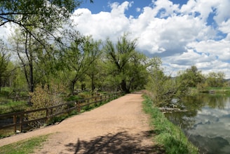 A serene pathway winds through lush greenery, bordered by a wooden fence. Tall trees with fresh green leaves arch over the path on one side, while a calm body of water reflects the cloudy blue sky on the other. The scene is peaceful and inviting, evoking a sense of calm and connection with nature.