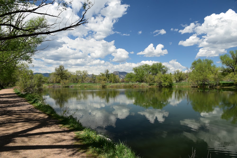 a body of water surrounded by trees and grass