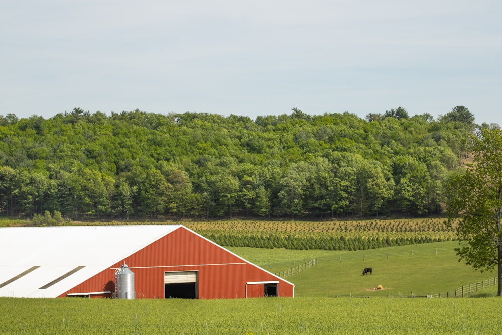 a red barn in a green field with trees in the background