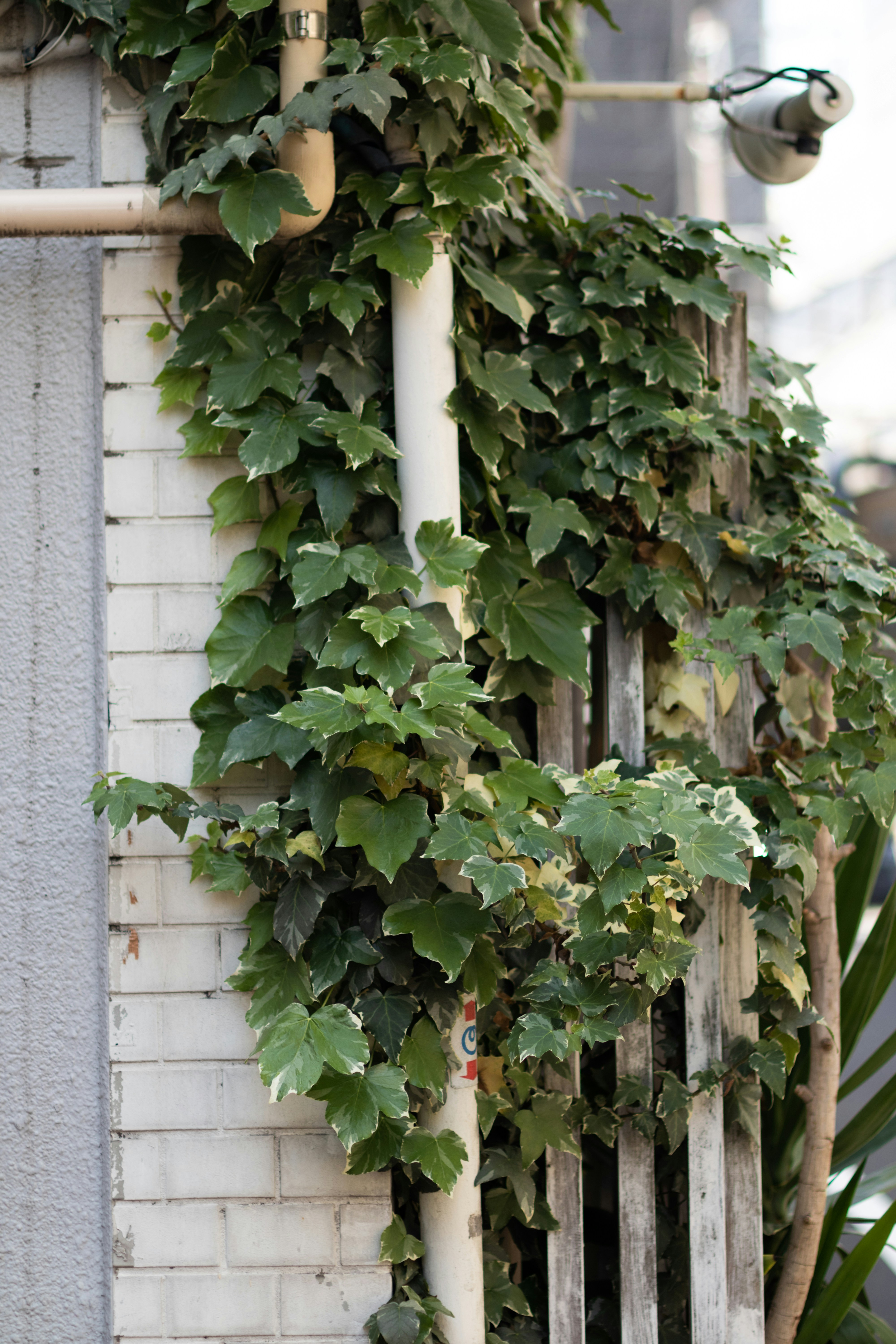 Photo by takatsuchida