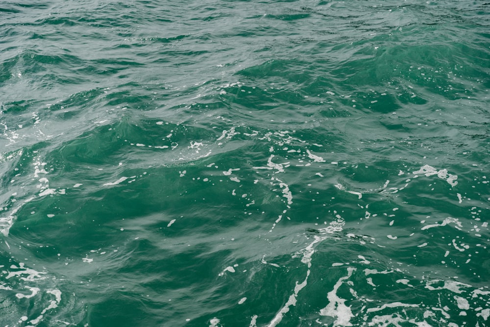 a view of the water from a boat