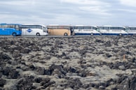 A line of tour buses parked alongside a rugged, moss-covered volcanic landscape under an overcast sky. The buses are multicolored, including blue, white, and beige.