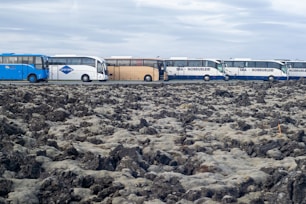 A line of tour buses parked alongside a rugged, moss-covered volcanic landscape under an overcast sky. The buses are multicolored, including blue, white, and beige.