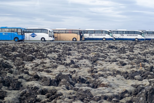 A line of tour buses parked alongside a rugged, moss-covered volcanic landscape under an overcast sky. The buses are multicolored, including blue, white, and beige.
