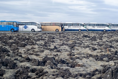 A line of tour buses parked alongside a rugged, moss-covered volcanic landscape under an overcast sky. The buses are multicolored, including blue, white, and beige.