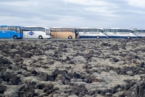 A line of tour buses parked alongside a rugged, moss-covered volcanic landscape under an overcast sky. The buses are multicolored, including blue, white, and beige.
