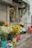 A storefront with various colorful flowers in pots arranged along the sidewalk. Sunflowers, lilies, and other flowers are displayed in blue, pink, and red containers. A glass door and window showcase additional plants and vases inside the shop. An awning provides shade, and a metal shutter is visible on the side.