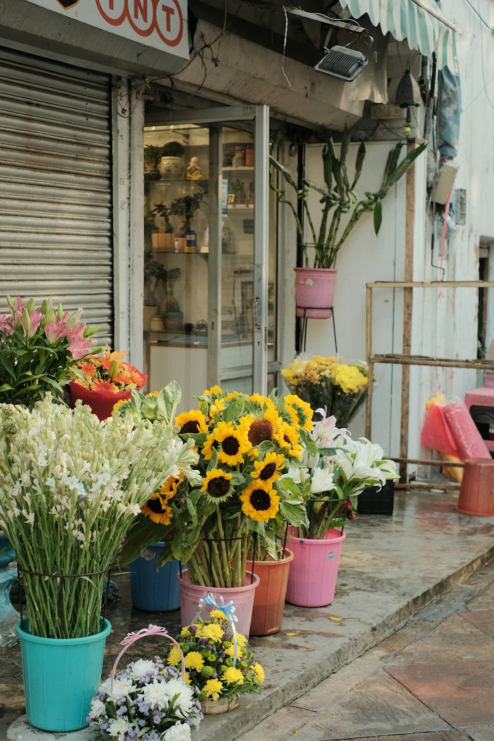 um ramo de flores que estão sentadas no chão