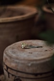 A close-up of a silver-finished aluminium flower pot catching natural light.