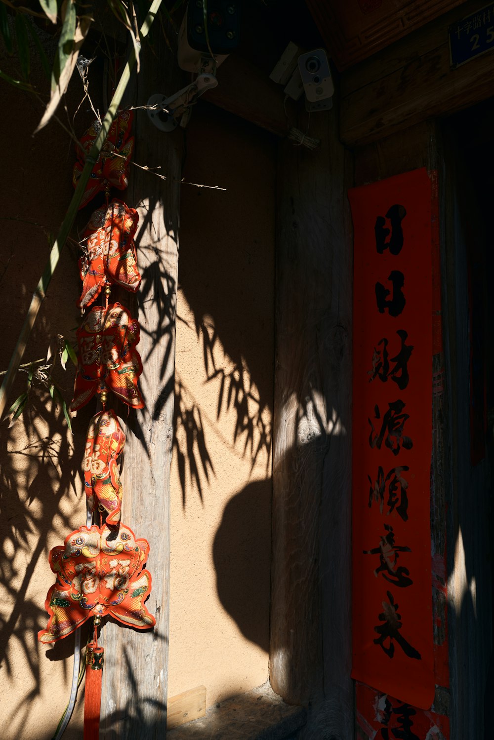 a bamboo plant with chinese writing on it