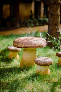 Several large, realistic mushroom sculptures are situated on a grassy area. The largest mushroom is centrally positioned, with smaller mushroom sculptures surrounding it. The scene appears to be set in a garden or park-like environment with trees and other vegetation.