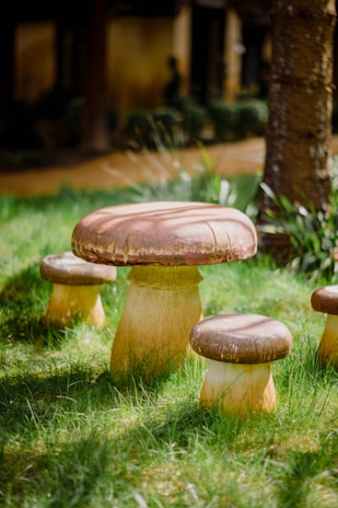 Several large, realistic mushroom sculptures are situated on a grassy area. The largest mushroom is centrally positioned, with smaller mushroom sculptures surrounding it. The scene appears to be set in a garden or park-like environment with trees and other vegetation.
