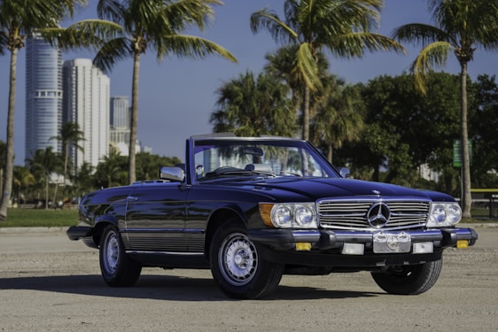 Luxury black Mercedes S-Class parked on a sunlit Riviera street with palm trees and the sea in the background