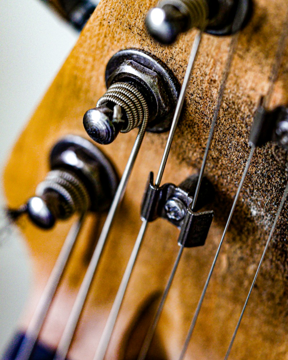 a close up of the strings of a bass