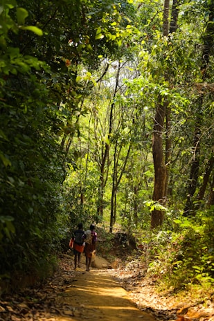 Couple walking through a lush Patagonian forest, immersed in nature's tranquility.